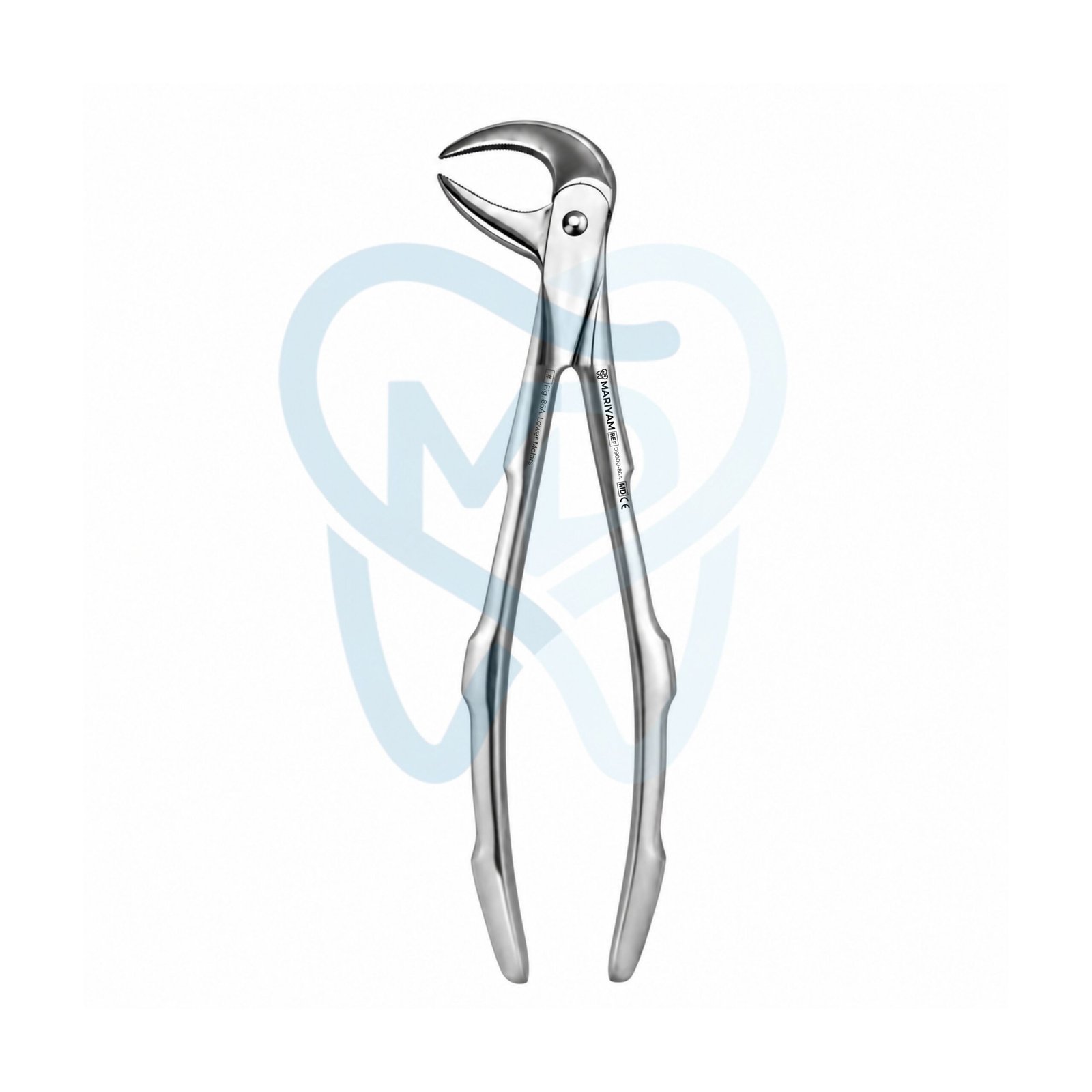 D9000-86A Fig. 86A. Lower Molars - Image 1