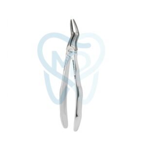 Fig. 97. Upper Roots