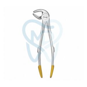 Fig. 13. Lower Molars and Premolars