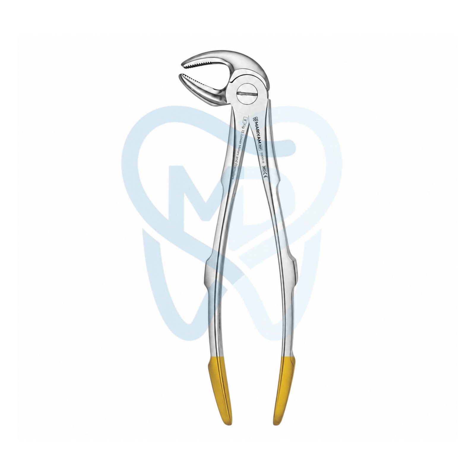 D9001-13 Fig. 13. Lower Molars and Premolars - Image 1
