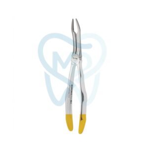 Fig. 144. Upper Roots