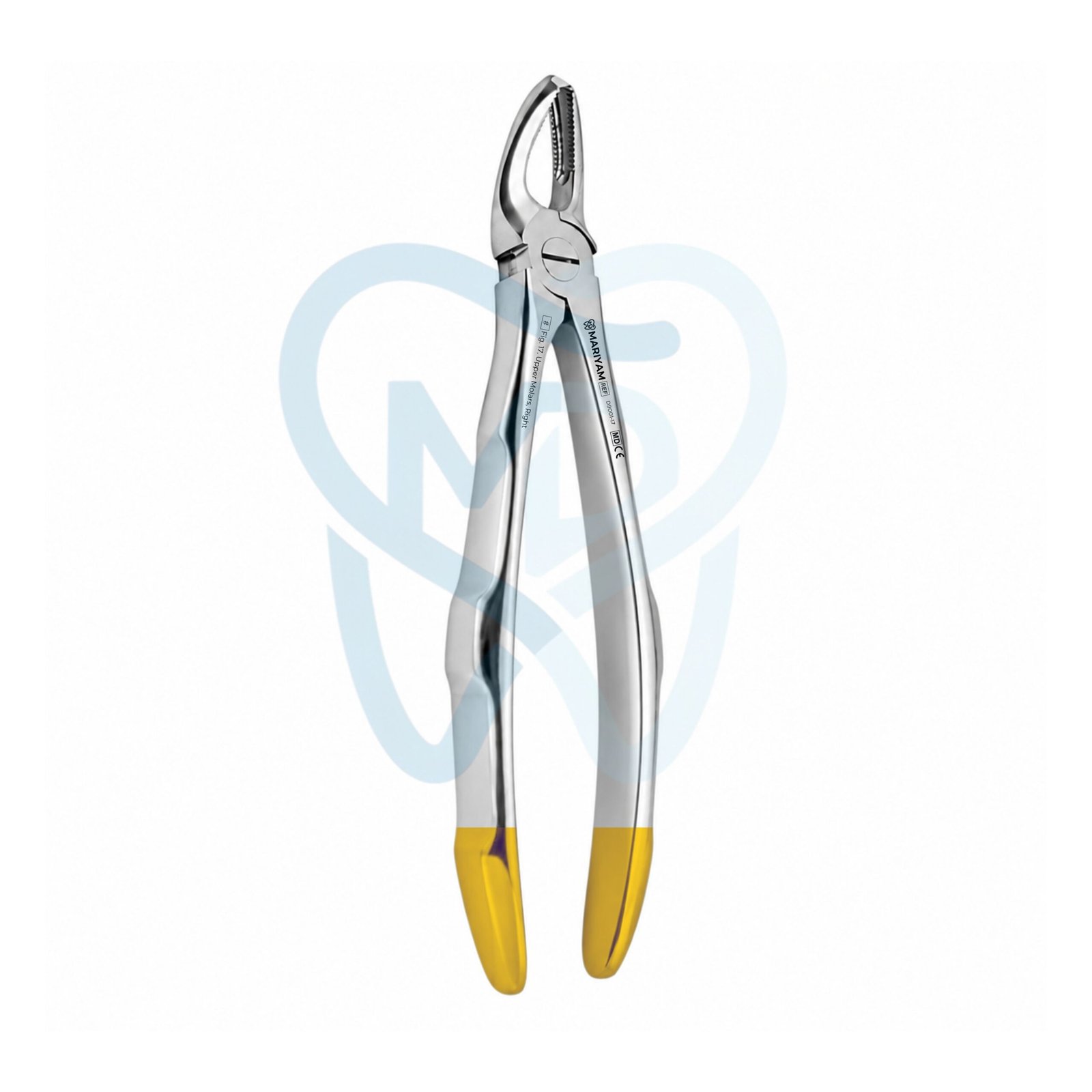 D9001-17 Fig. 17. Upper Molars, Right - Image 1