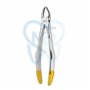 Fig. 18. Upper Molars, Left