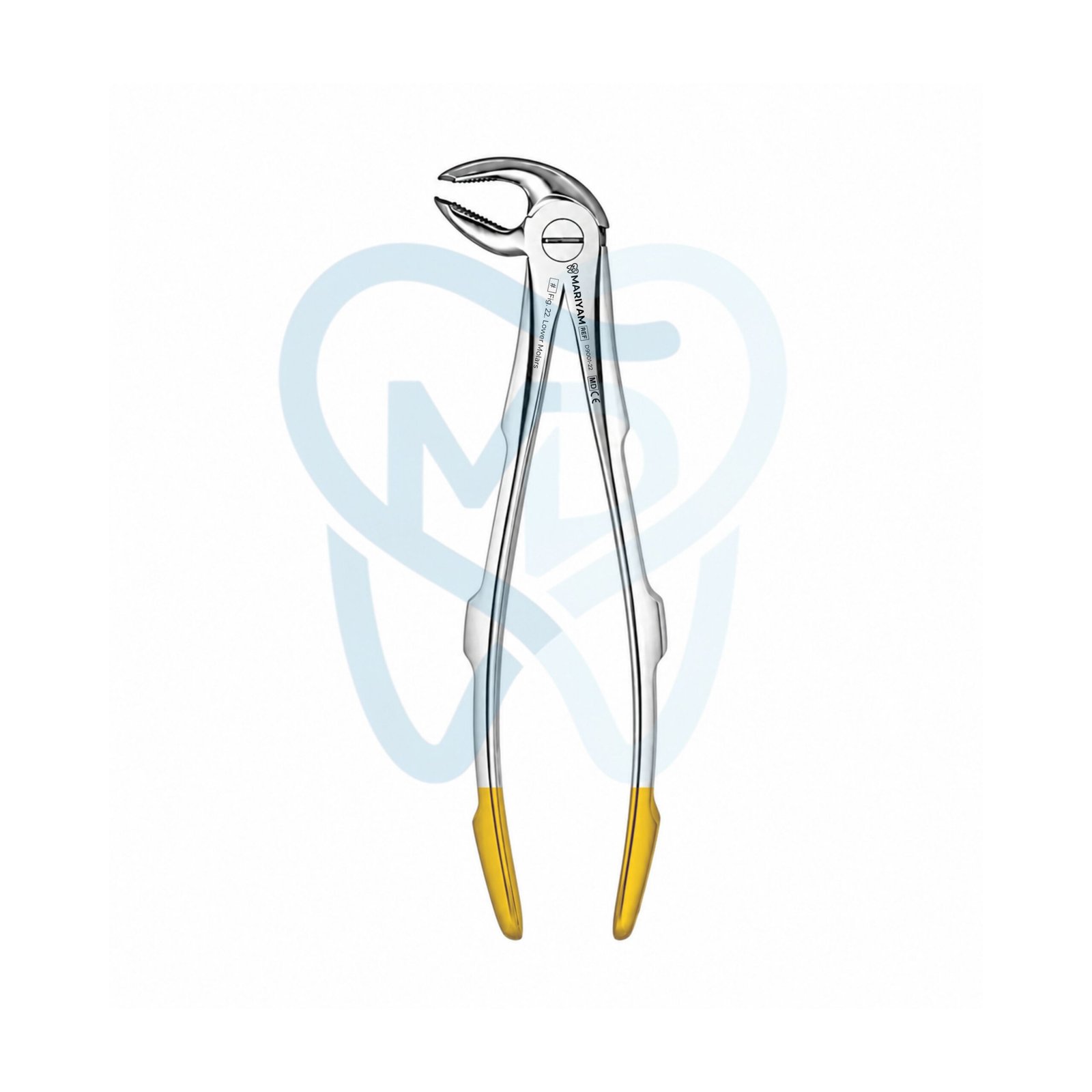 D9001-22 Fig. 22. Lower Molars - Image 1