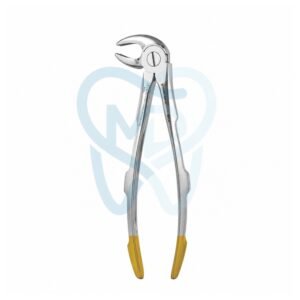 Fig. 33A. Lower Incisors, Premolars and Roots