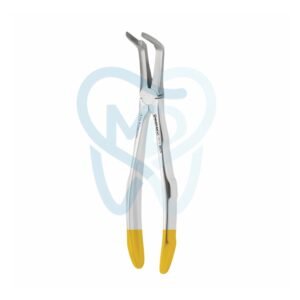 Fig. 46. Upper Roots