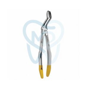Fig. 67A. Upper Molars for Upper Wisdom Teeth