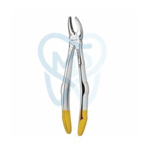Fig. 7. Upper Premolars