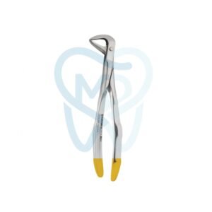 Fig. 86. Lower Molars