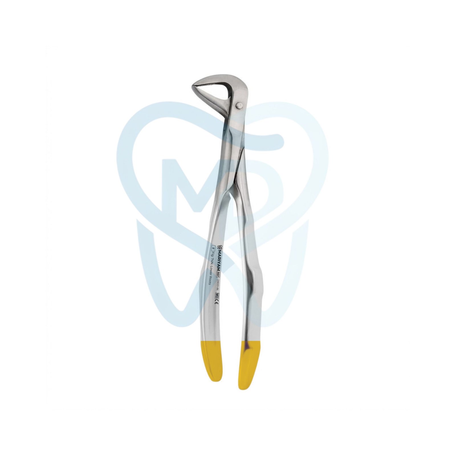 D9001-86 Fig. 86. Lower Molars - Image 1