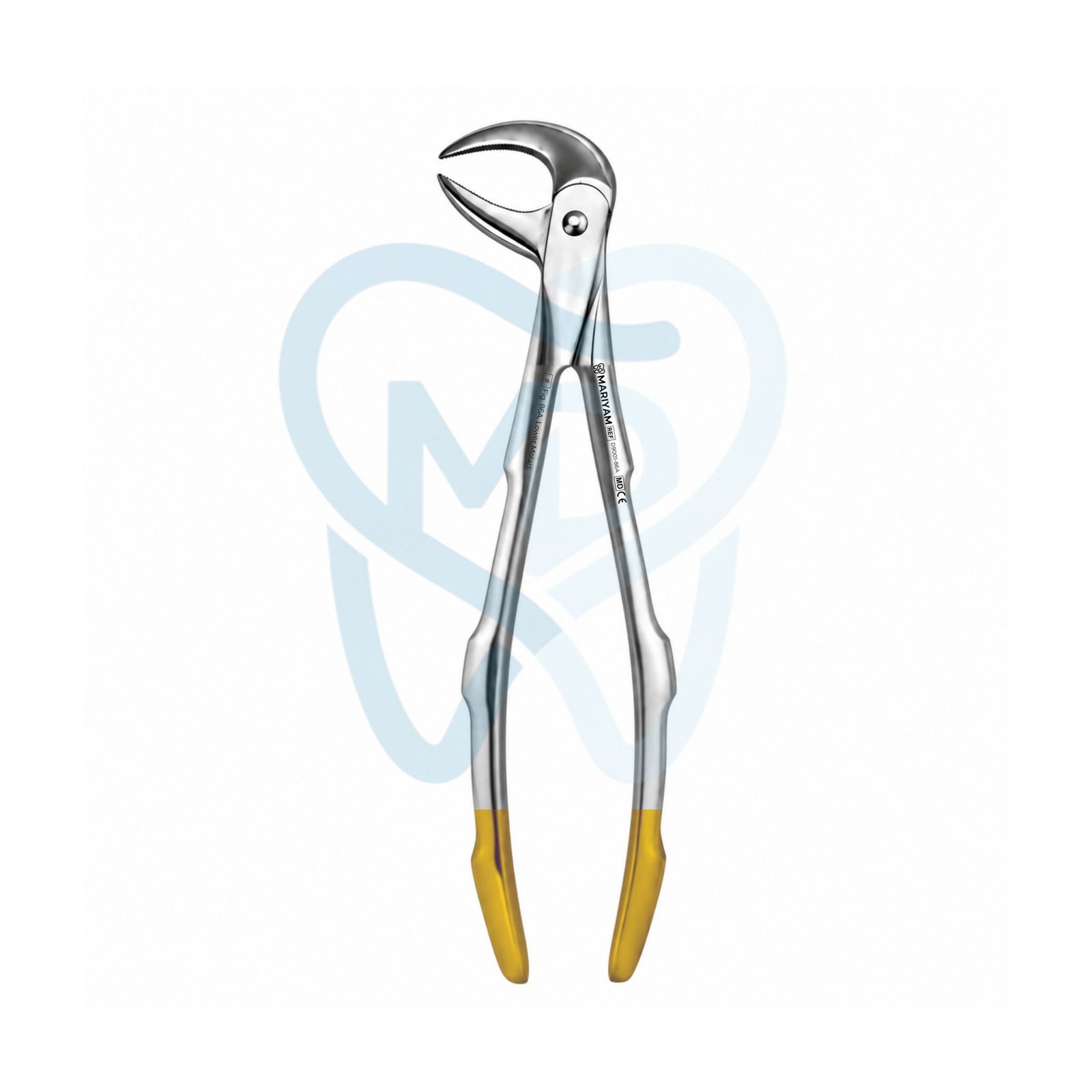 D9001-86A Fig. 86A. Lower Molars - Image 1