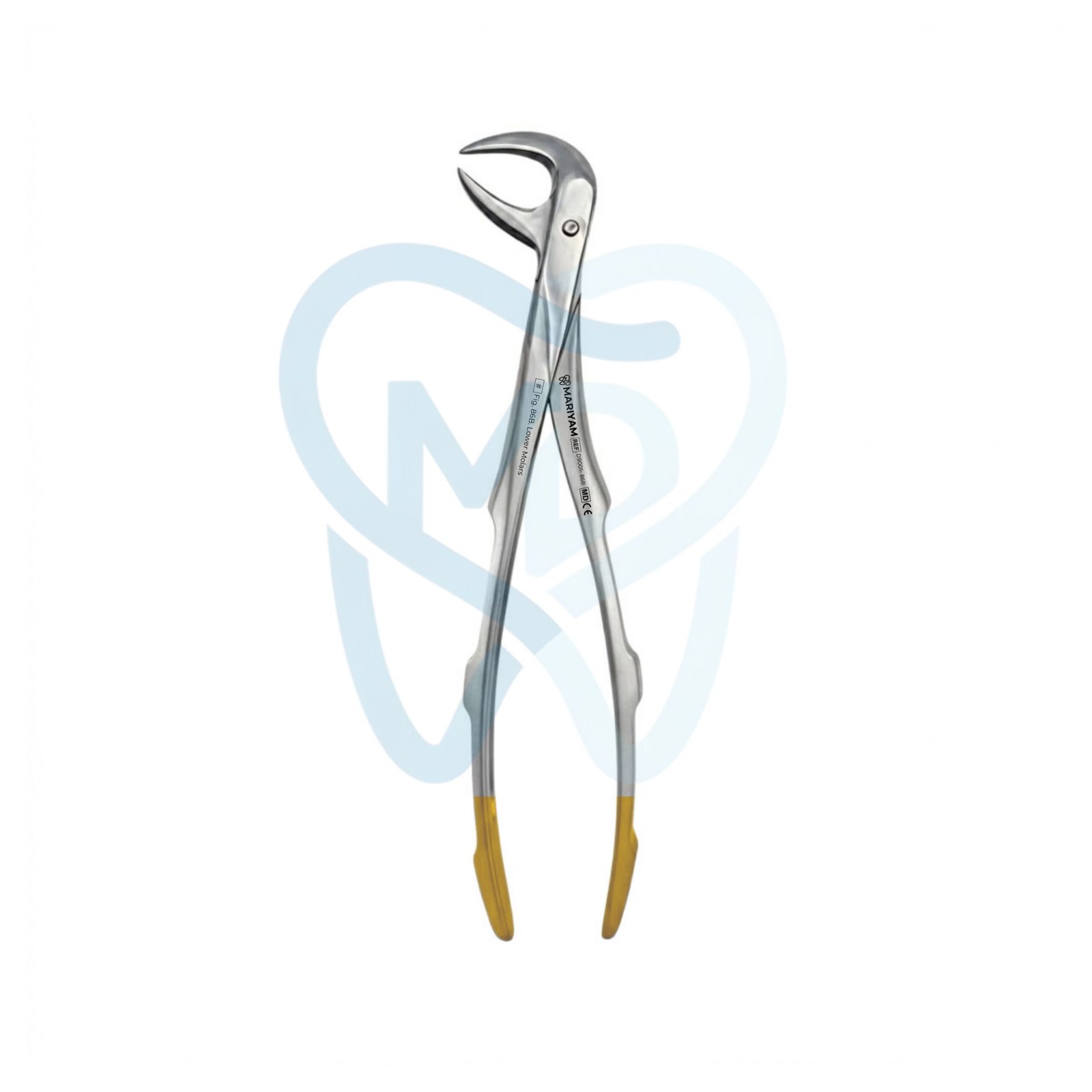 D9001- 86B Fig. 86B. Lower Molars - Image 1