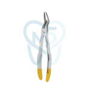 Fig. 97. Upper Roots