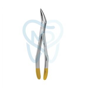 Fig. 98. Witzel (Upper Roots)