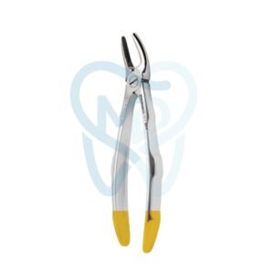 Fig. 99. Hertz (Lower Molars)