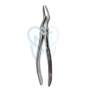 Fig. 97. Upper Roots
