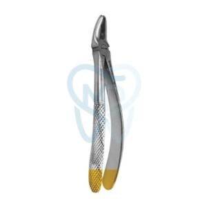 Fig. 7. Upper Premolars