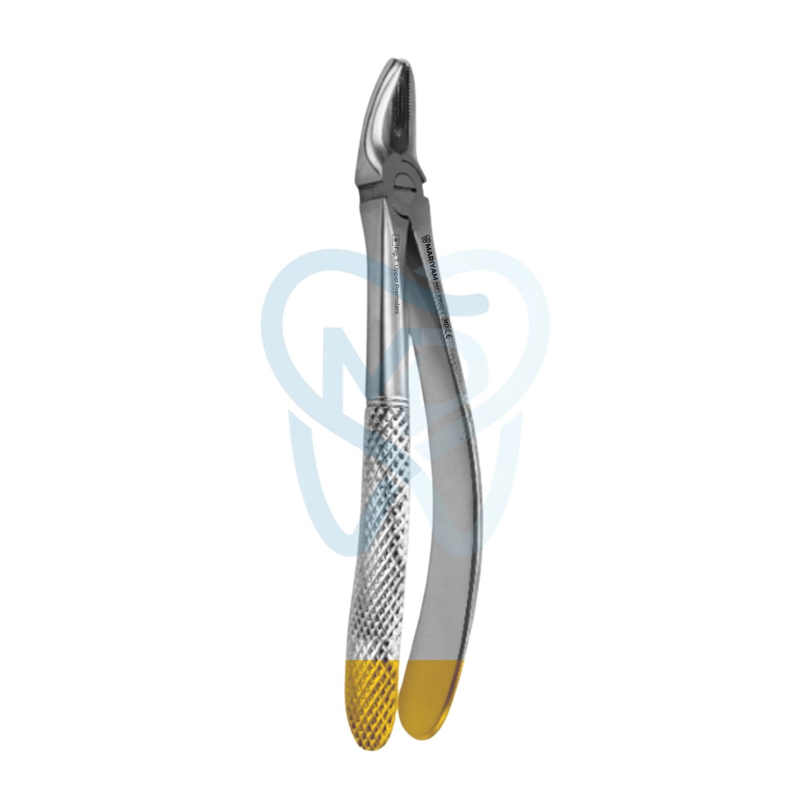 F9001-7 Fig. 7. Upper Premolars - Image 1