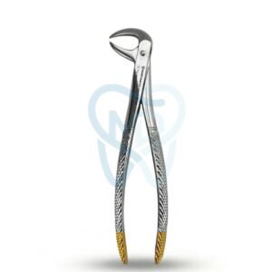 Fig. 86. Lower Molars