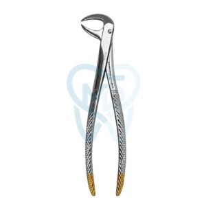 Fig. 86A. Lower Molars
