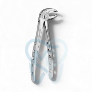 Fig. 23. Lower Molars, Right