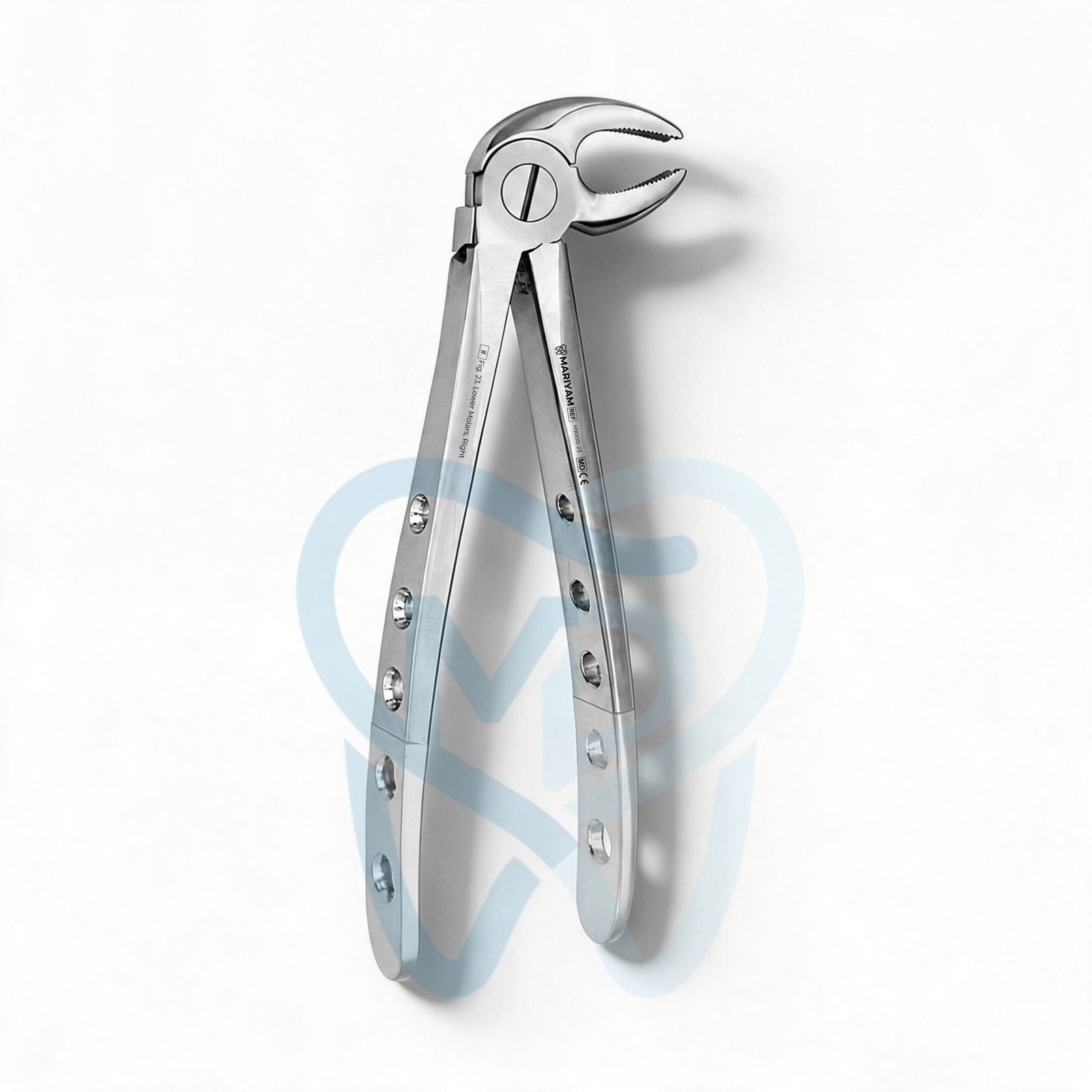 H9000-23 Fig. 23. Lower Molars, Right - Image 1