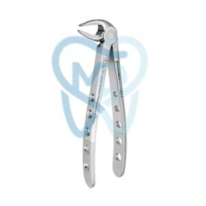 Fig. 33A. Lower Incisors, Premolars and Roots