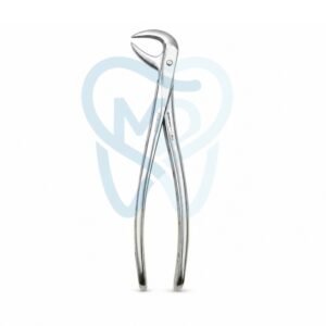 Fig. 86A. Lower Molars