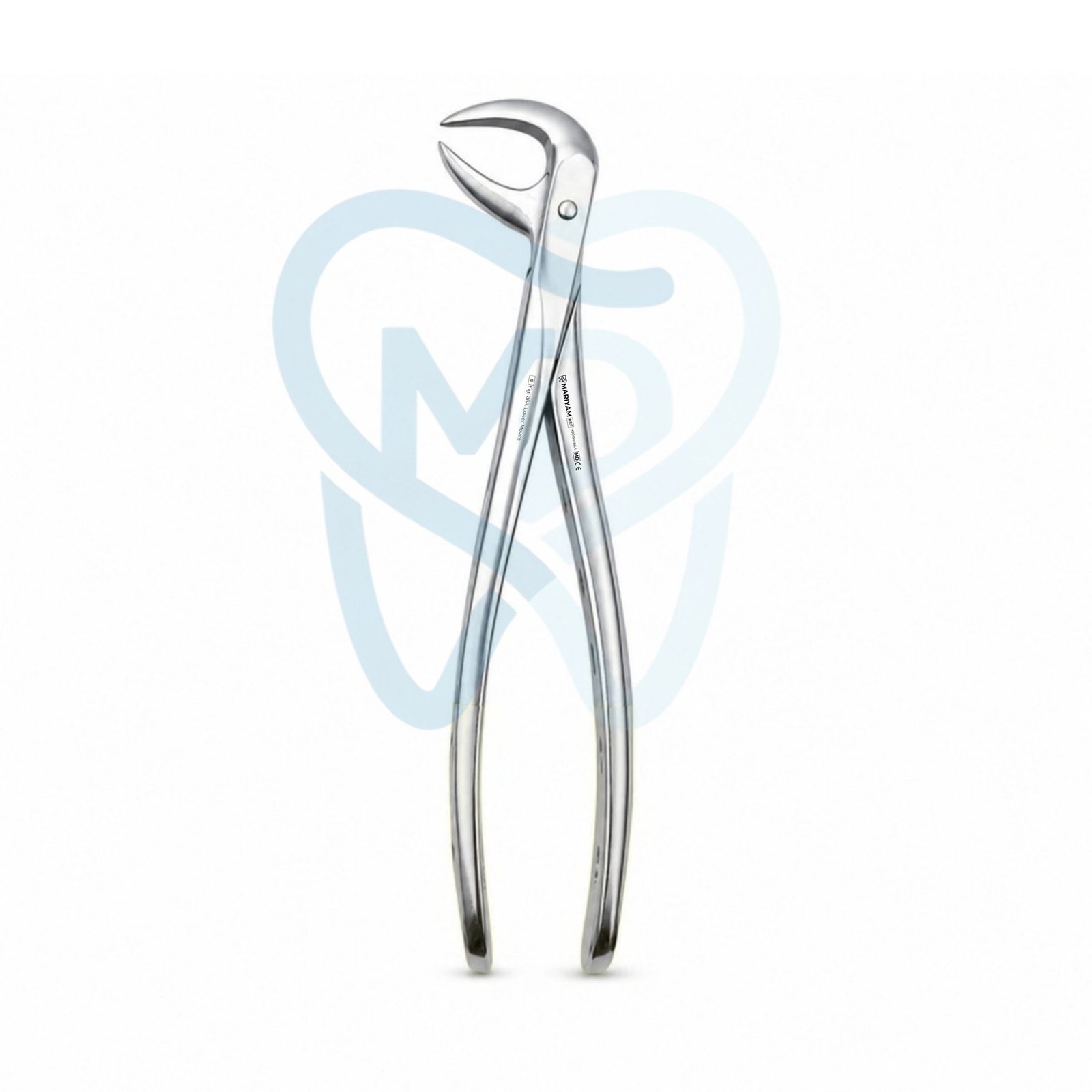 H9000-86A Fig. 86A. Lower Molars - Image 1