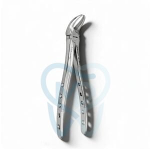 Fig. 87. Lower Molars