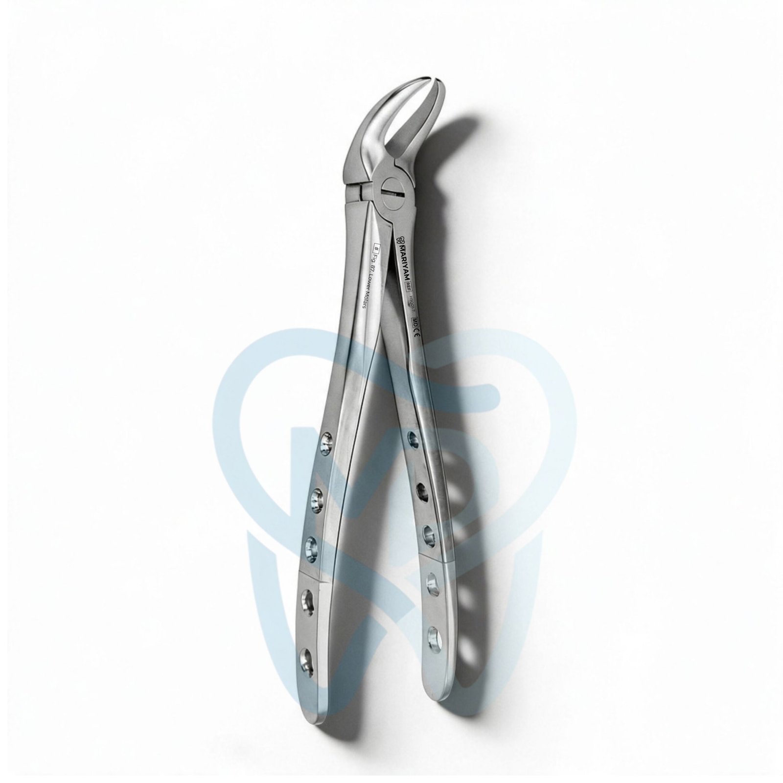 H9000-87 Fig. 87. Lower Molars - Image 1