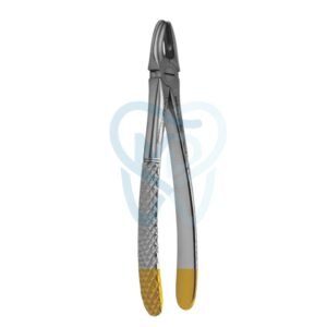 Fig. 1. Upper Incisors and Molars