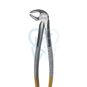 Fig. 13. Lower Molars and Premolars