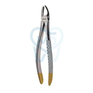 Fig. 18. Upper Molars, Left