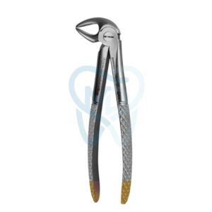 Fig. 33A. Lower Incisors, Premolars and Roots