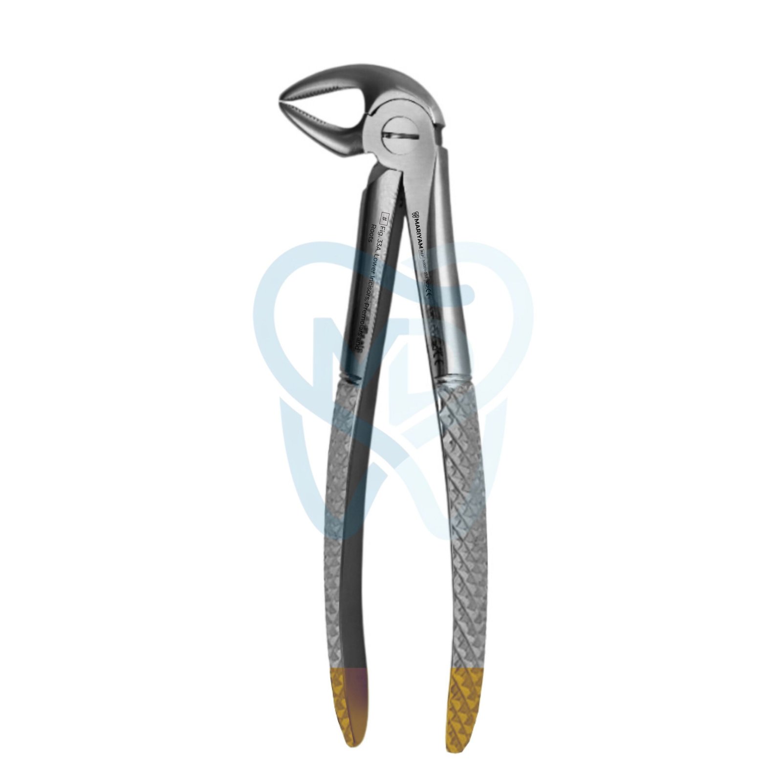 N9001-33A Fig. 33A. Lower Incisors, Premolars and Roots - Image 1