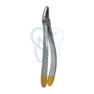 Fig. 7. Upper Premolars