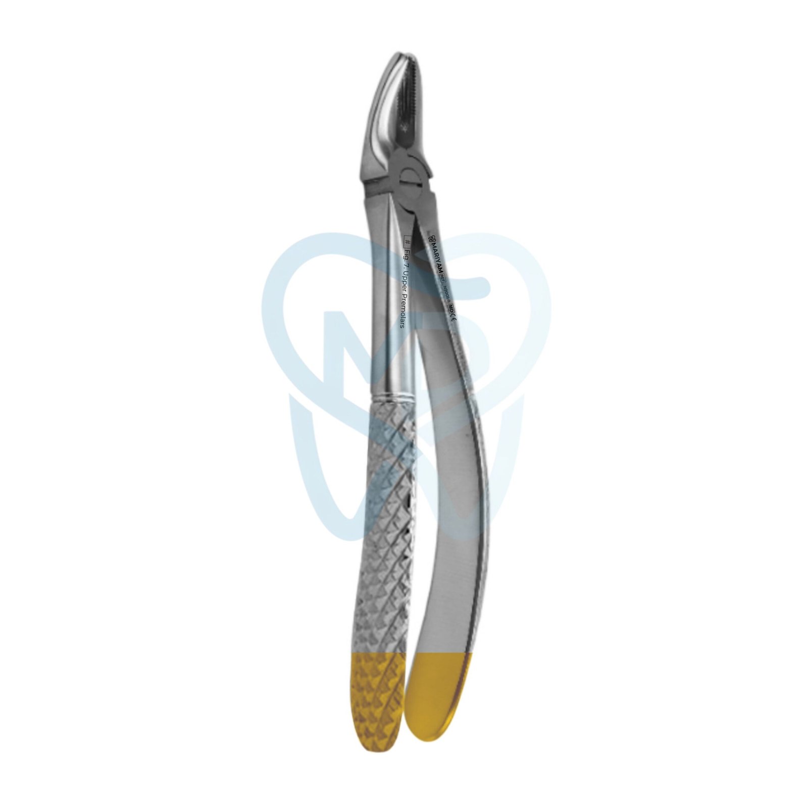 N9001-7 Fig. 7. Upper Premolars - Image 1