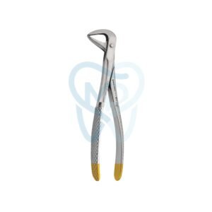 Fig. 86. Lower Molars