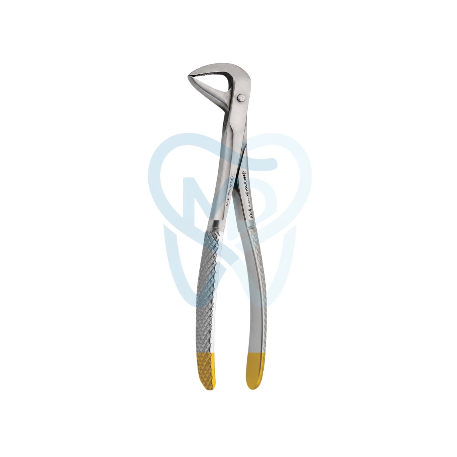 N9001-86 Fig. 86. Lower Molars - Image 1
