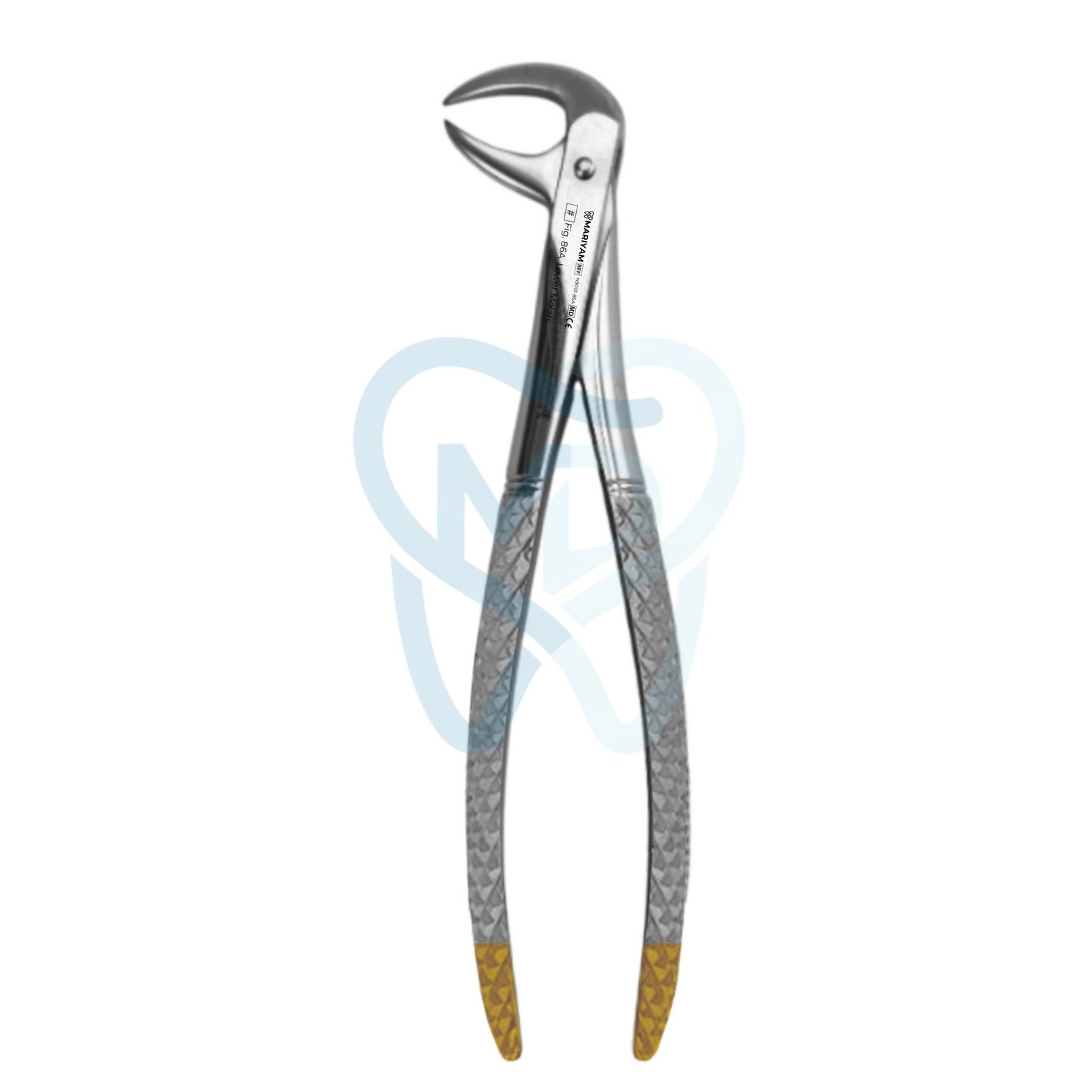 N9001-86A Fig. 86A. Lower Molars - Image 1